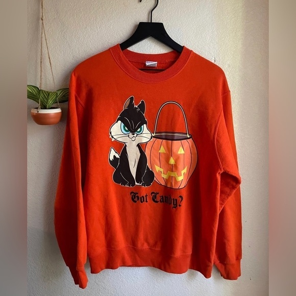 Vintage warner bros looney tunes halloween 🎃 sweater - Picture 1 of 3